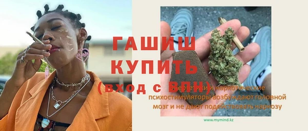 индика Алагир