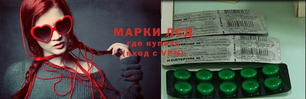 индика Алагир