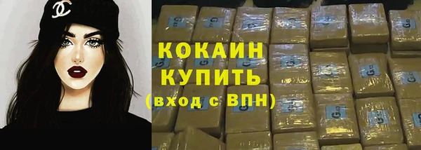хмурый Пересвет