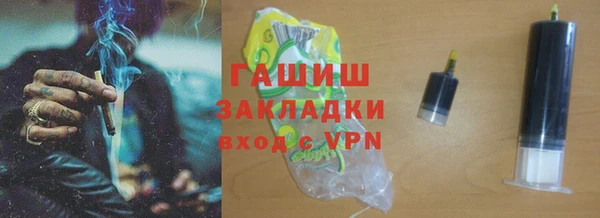 хмурый Пересвет
