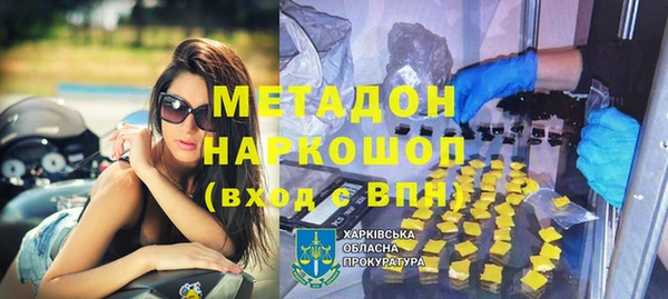хмурый Пересвет