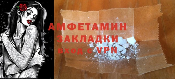 хмурый Пересвет