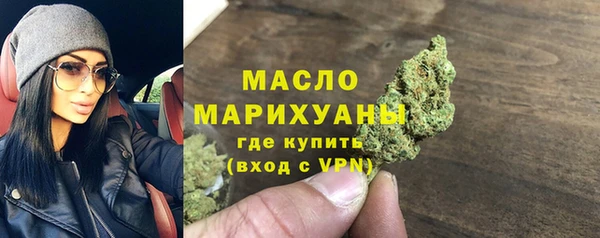 хмурый Пересвет